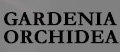 via-arkadia-brands
